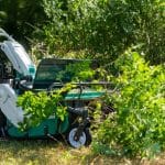 Orec Wheeled Cyclone Flail Mower