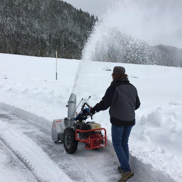 BCS Snow Thrower