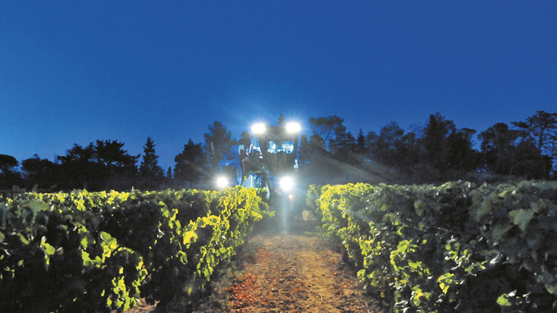 New Holland Braud Grape Harvester