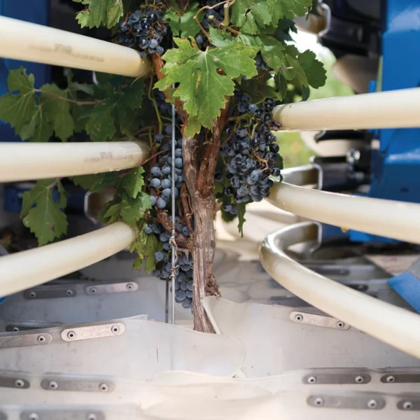 New Holland Braud Compact Series Grape Harvester