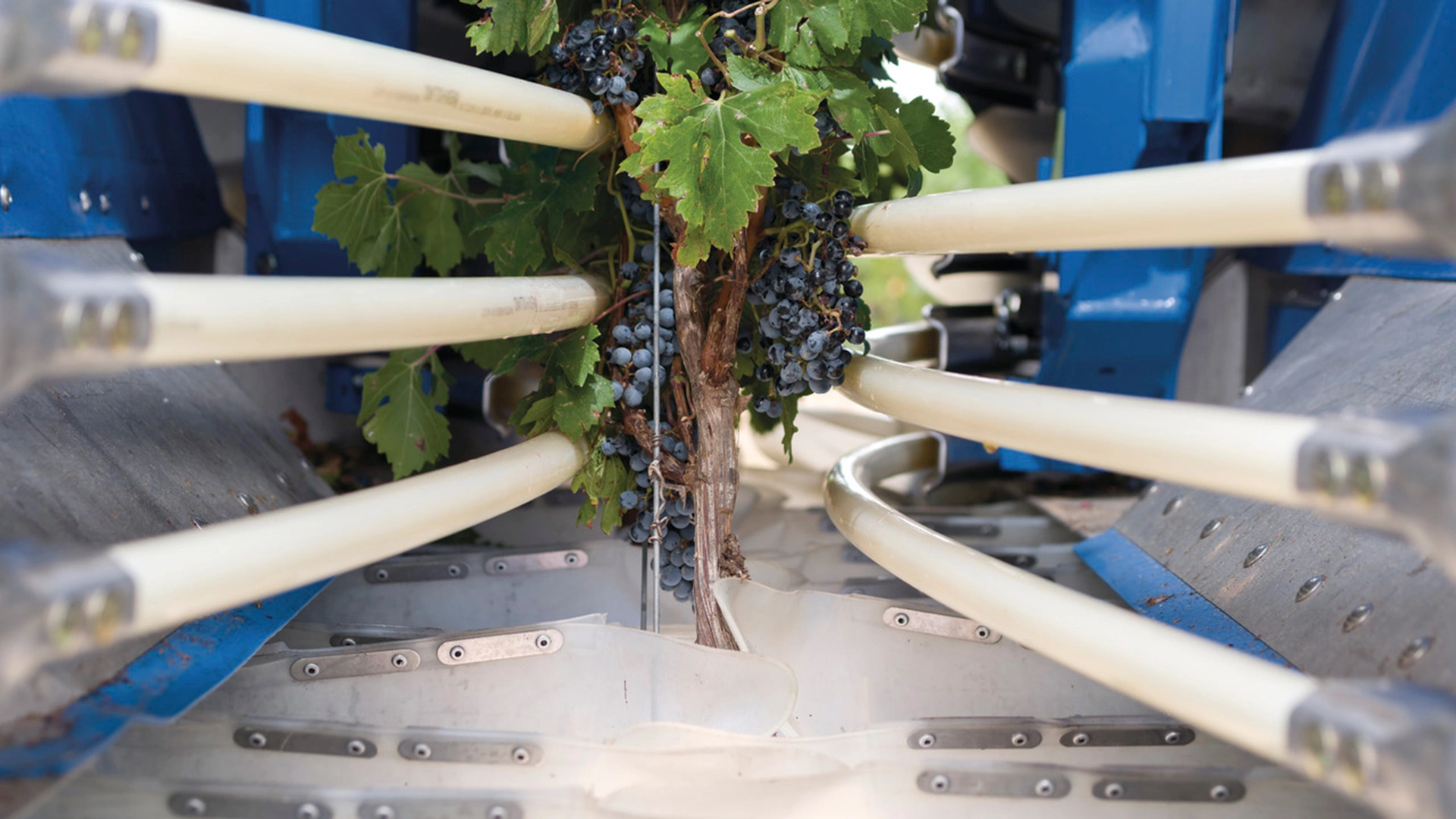 New Holland Braud Compact Series Grape Harvester