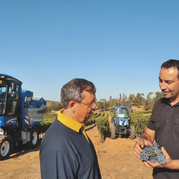 New Holland Braud Grape Harvester