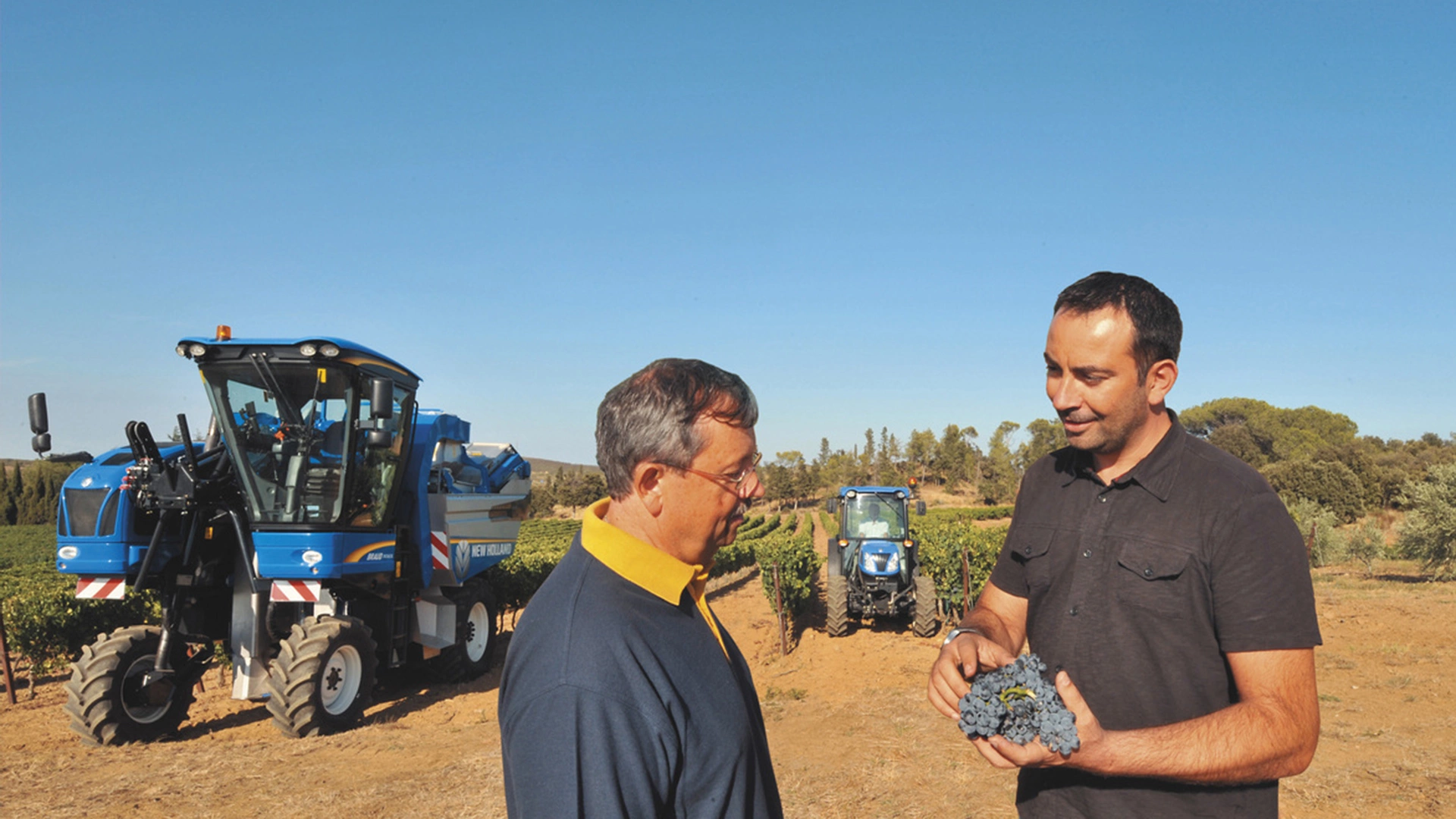 New Holland Braud Grape Harvester