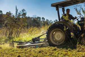 Tarter 300 Series 6 ft. Rotary Cutter