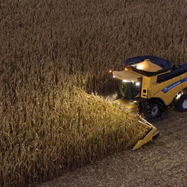 New Holland Corn Heads