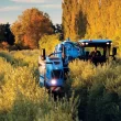 New Holland Braud 9090X Olive Harvester