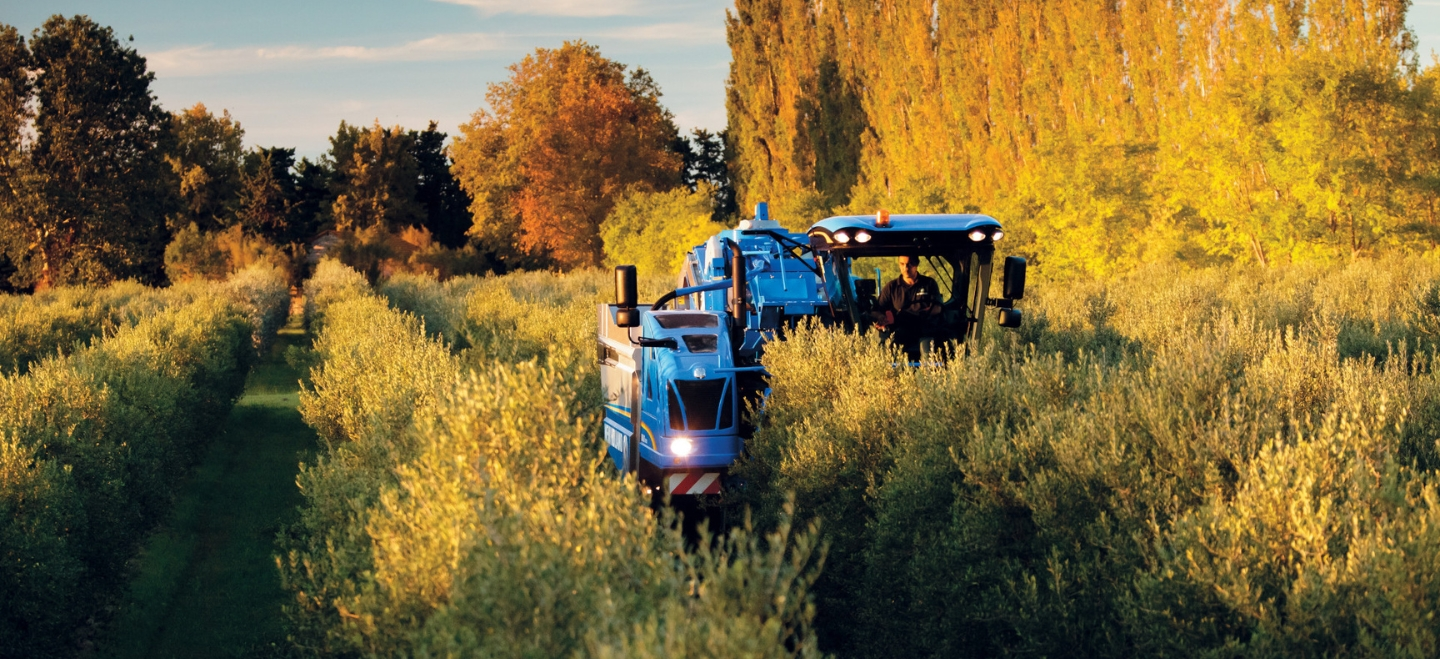 New Holland Braud 9090X Olive Harvester