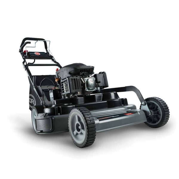 DR Power SP30 (30" Cut, Electric-Start)