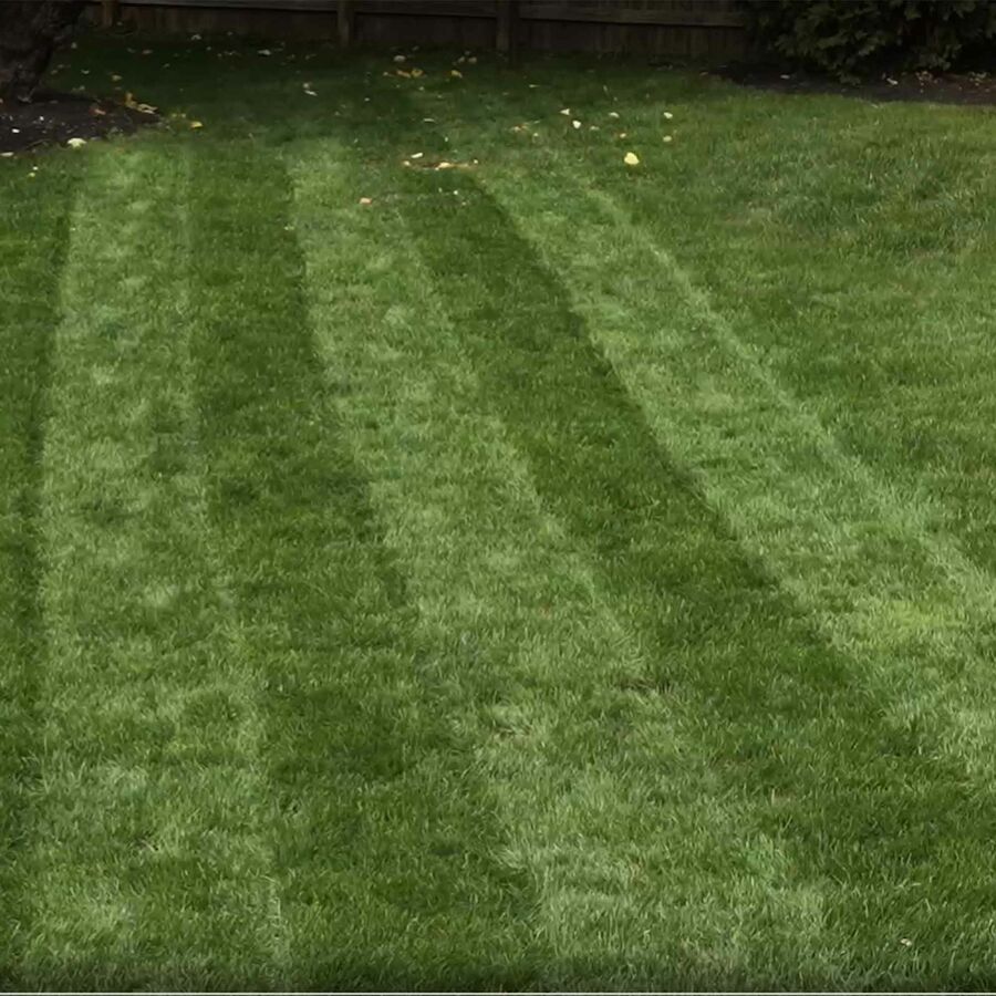 Toro 60V MAX* 21 in. (53 cm) Stripe® Self-Propelled Mower - Battery Not Included (21621T)