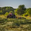 Massey Ferguson MF TD 524 TR