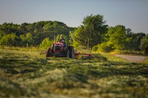 Massey Ferguson MF TD 252 TR