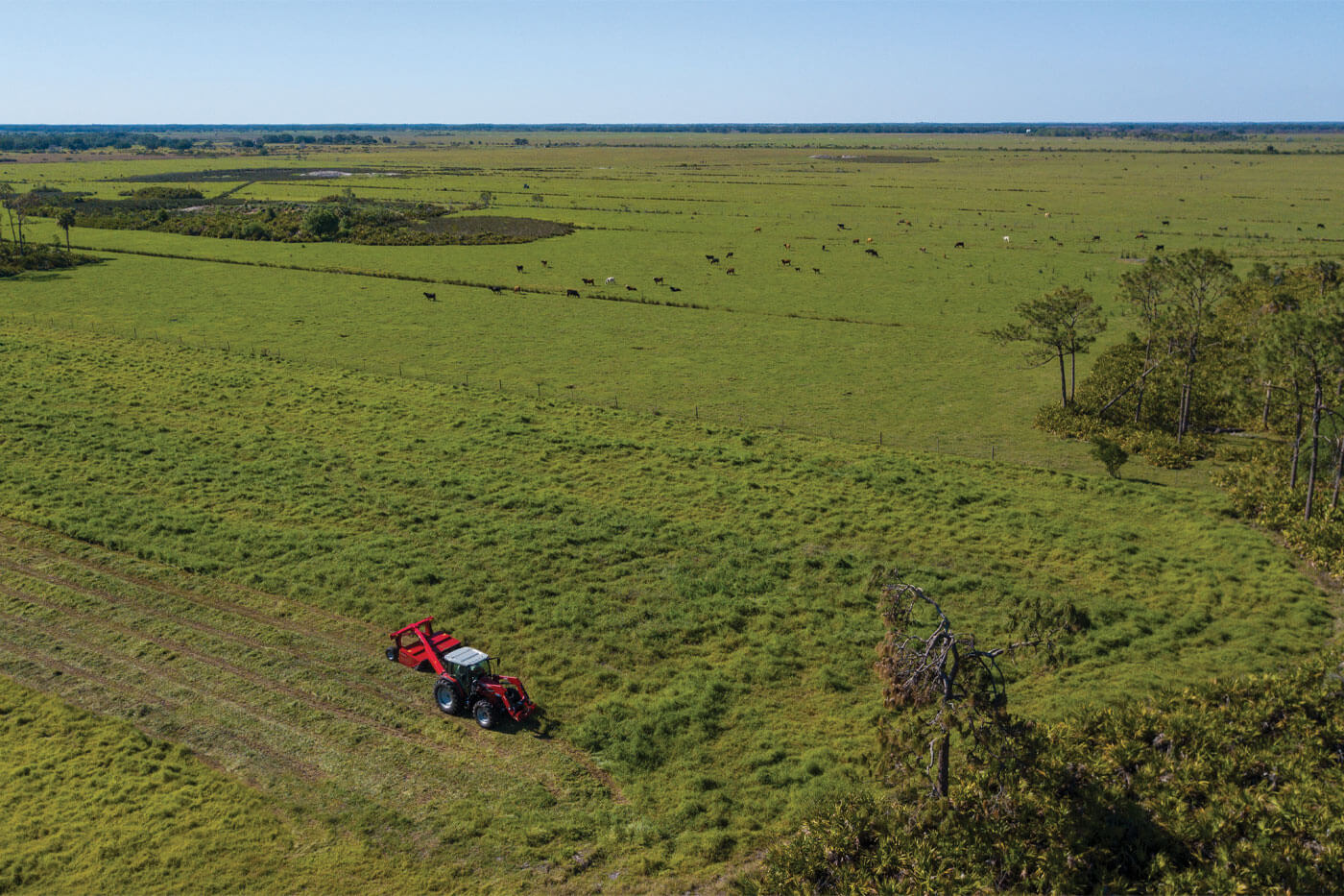 Massey Ferguson 1373