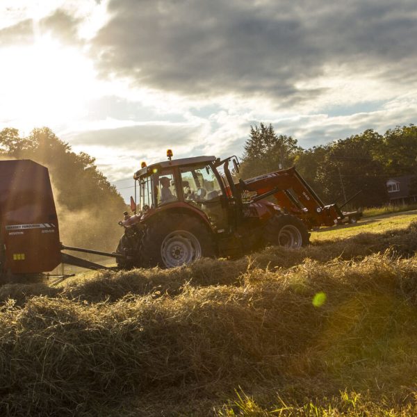 Massey Ferguson 2946