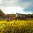 Massey Ferguson MF 5710 D