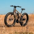 Rambo 750w Savage eBike