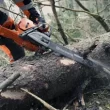 Husqvarna 572 XP® G