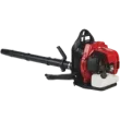 RedMax EBZ5150