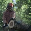 STIHL MS 251 WOOD BOSS®