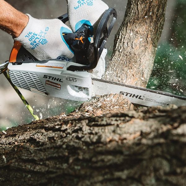 STIHL MS 151 T C-E