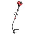 Troy-Bilt TB22 Curved Shaft String Trimmer