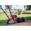 Troy-Bilt TBE304 Driveway Edger