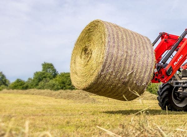 Massey Ferguson MF 5S.145