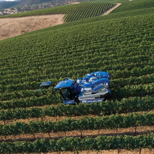 New Holland Braud Grape Harvester