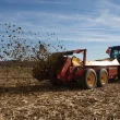 New Holland Box Spreaders