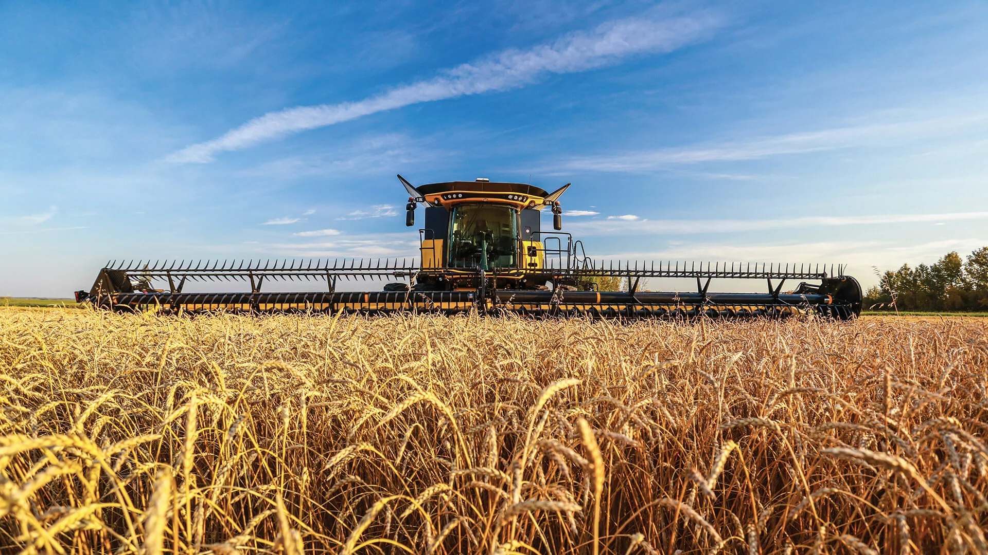 New Holland Draper Heads