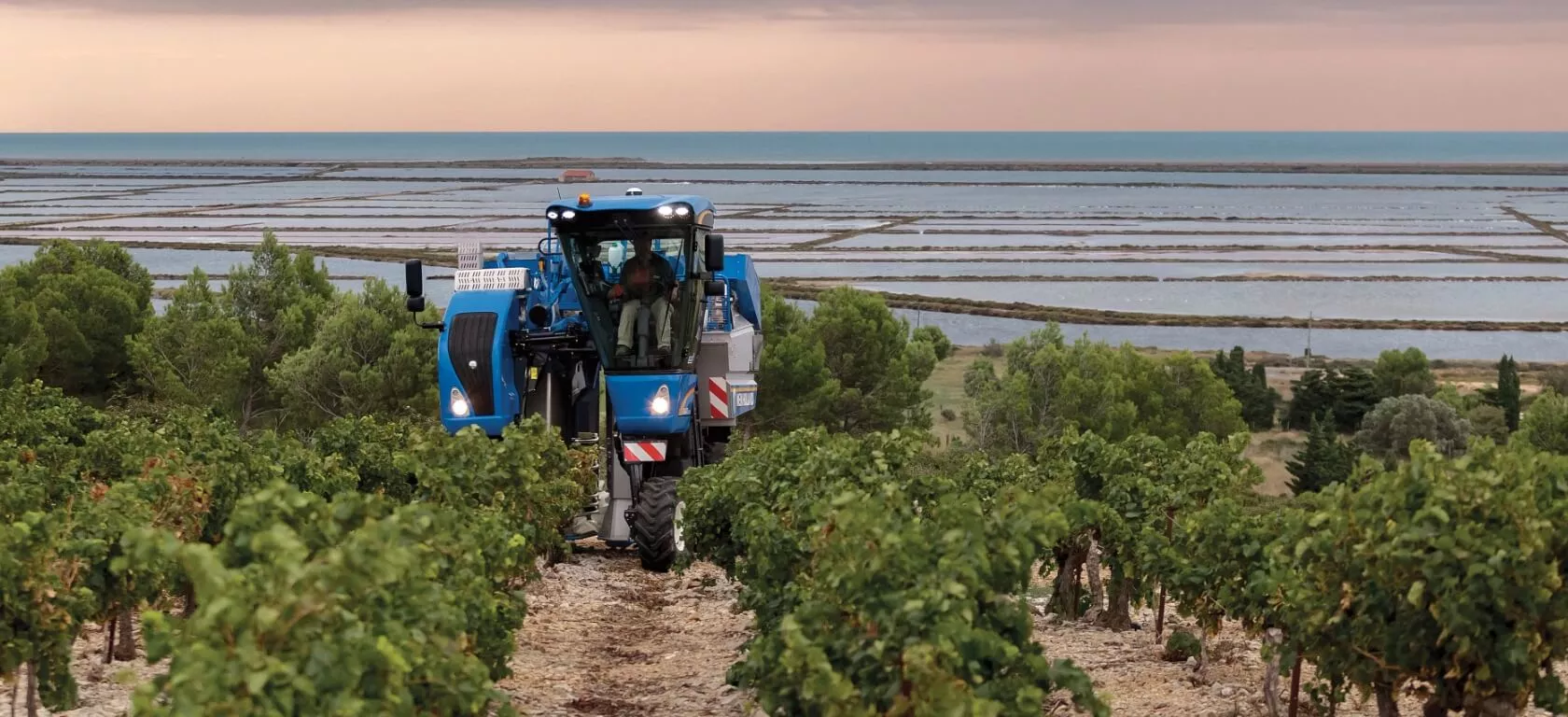 New Holland Braud Compact Series Grape Harvester