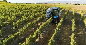 New Holland Braud High-Capacity Grape Harvesters