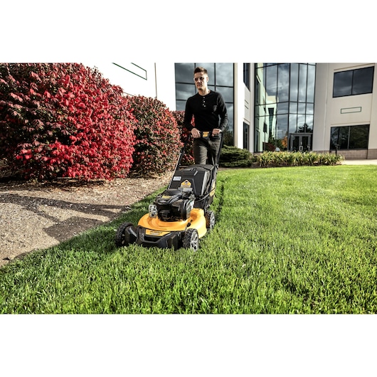 DEWALT 21 in. 150cc Self-Propelled RWD Lawn Mower