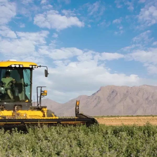 New Holland Windrower Headers