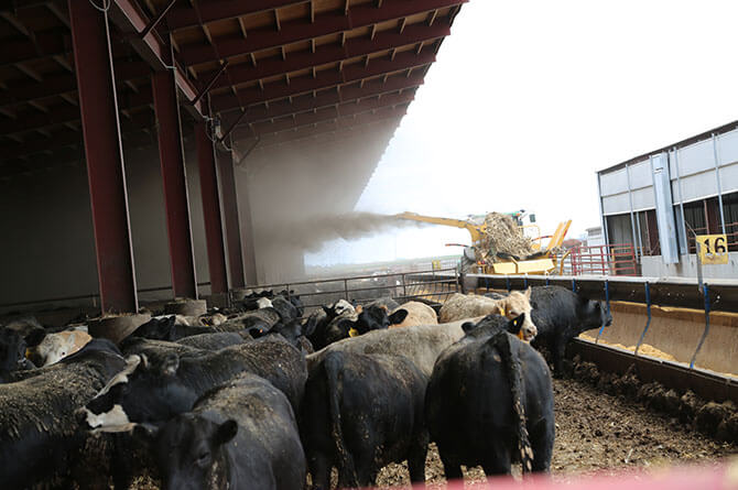 Vermeer CPX9000 Bale Processor