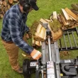 Vallee Forestry Equipment Oregon 30 Tons Log Splitter