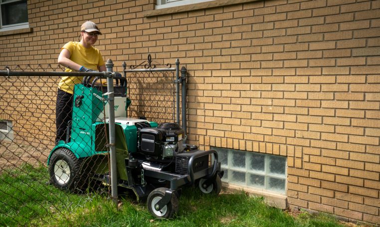 Orec The Winged Badger