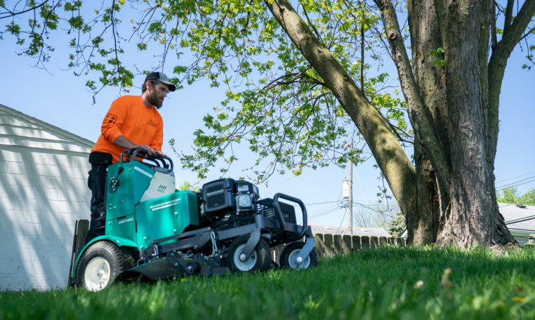 Orec The Winged Badger