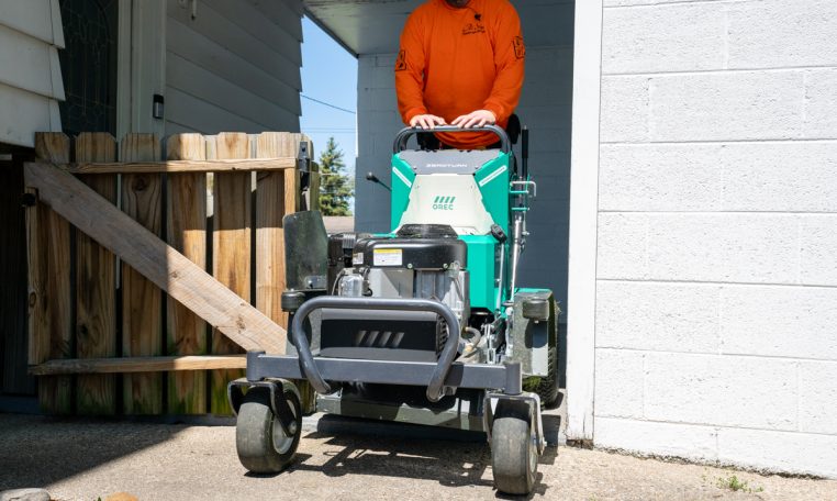 Orec The Winged Badger