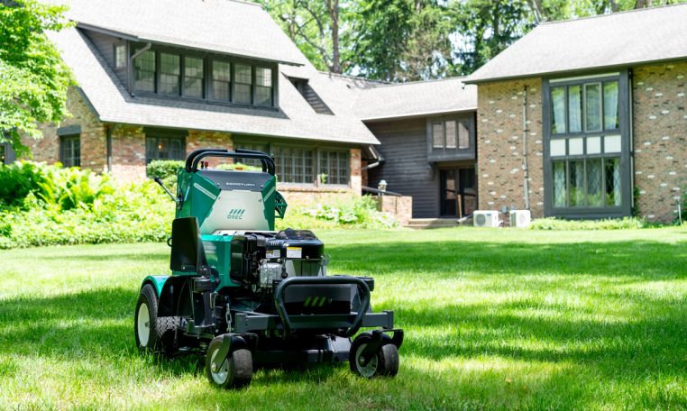 Orec The Winged Badger