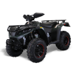 Bighorn 300 DX (4x4) ATV