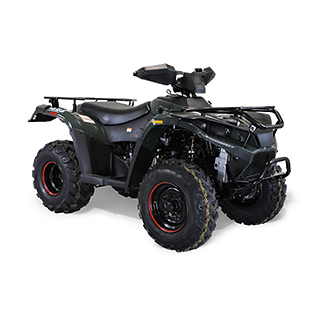 Bighorn 300 DX (4x4) ATV