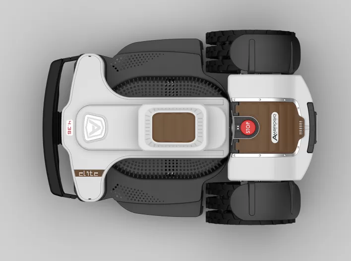 Ambrogio 4.36 Deluxe