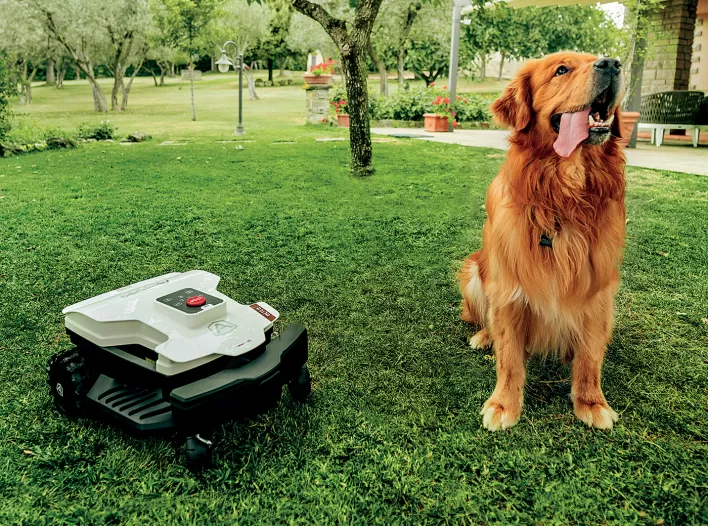 Ambrogio Twenty 25 Elite