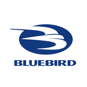 Bluebird