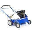 Bluebird 22 in. BlueBird Power Rake