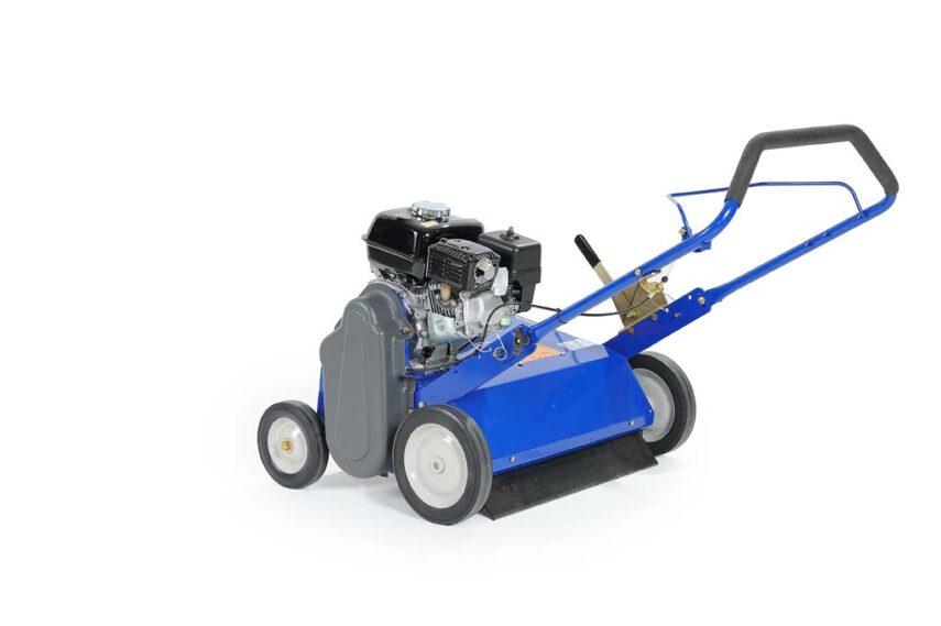 Bluebird 22 in. BlueBird Power Rake