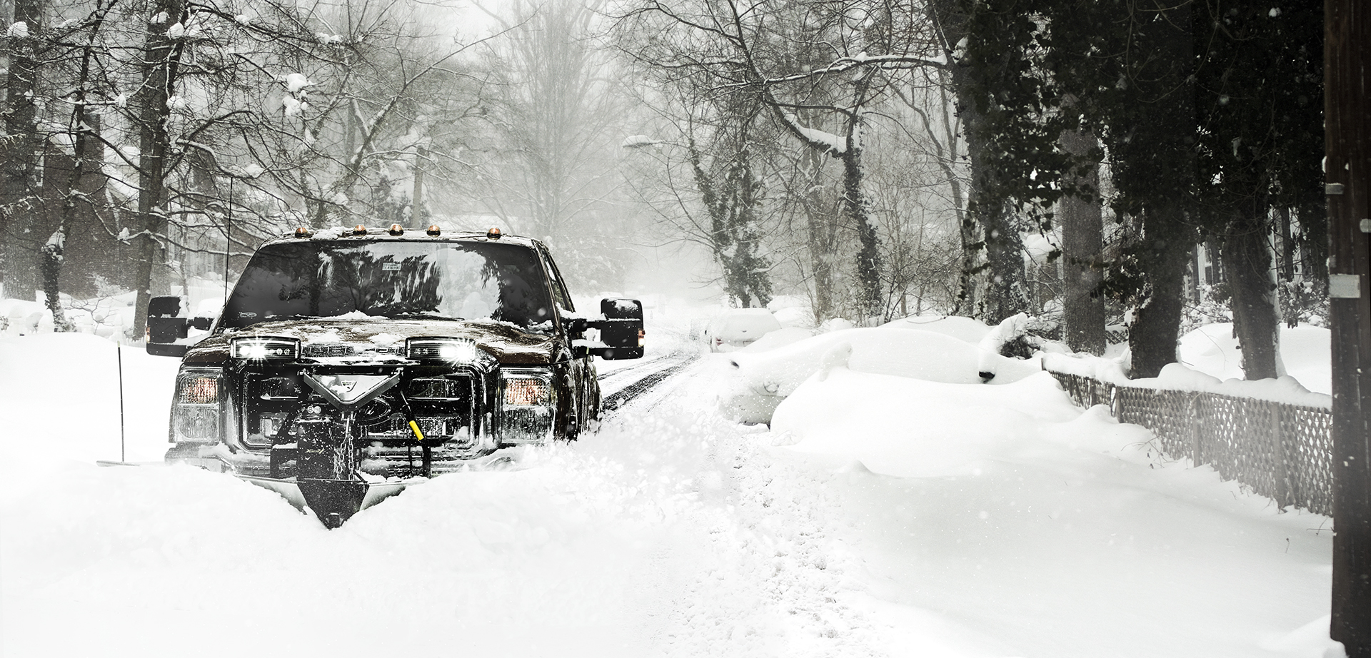 Fisher XtremeV™ V-PLOW