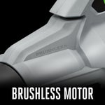 EGO POWER+ 15" POWERLOAD™ String Trimmer with Aluminum Telescopic Shaft & 670 CFM Blower Combo Kit