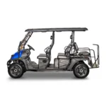 Bighorn Powersports EV8 Limo