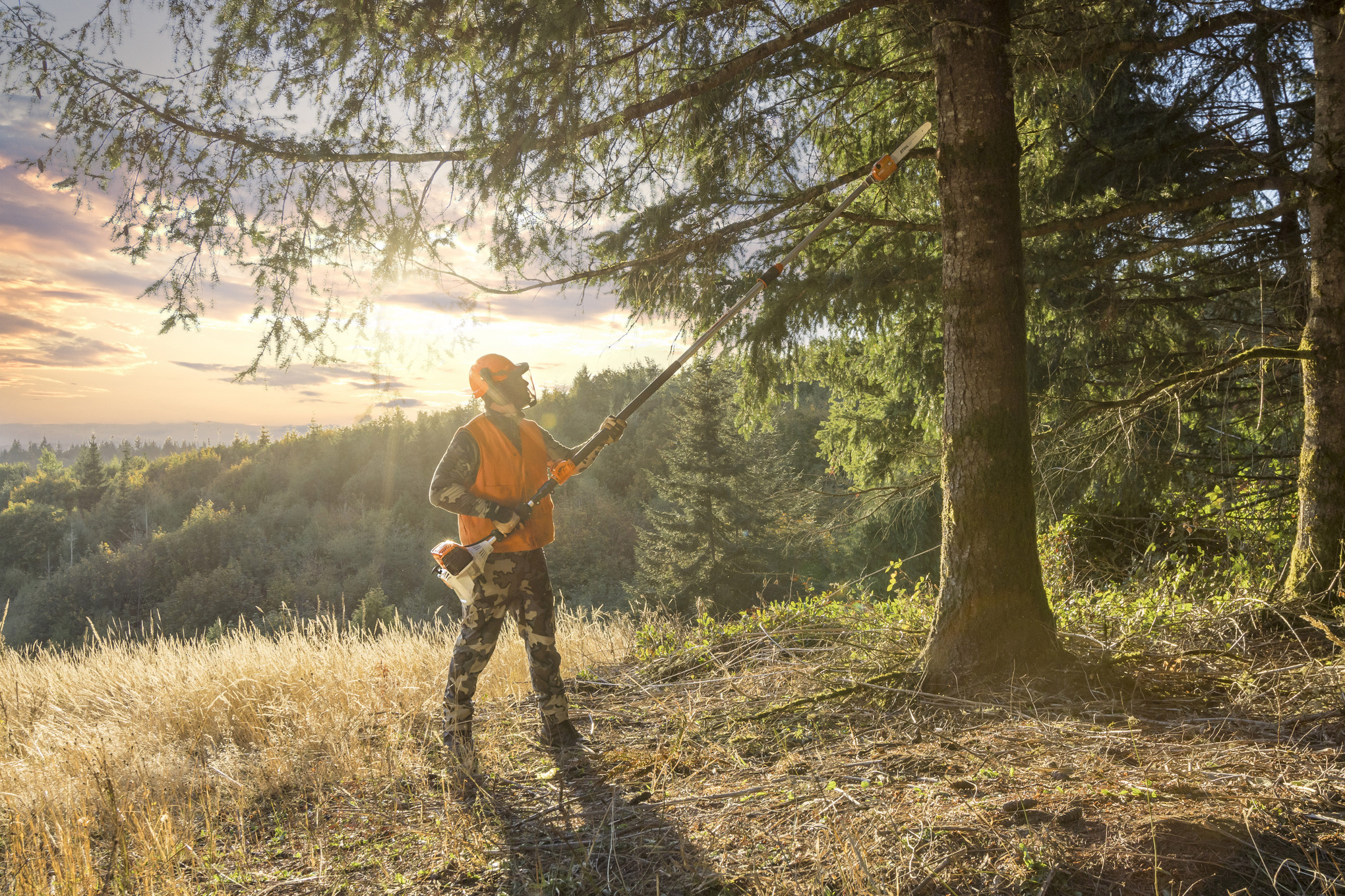 STIHL HT 135 Gasoline Pole Pruner